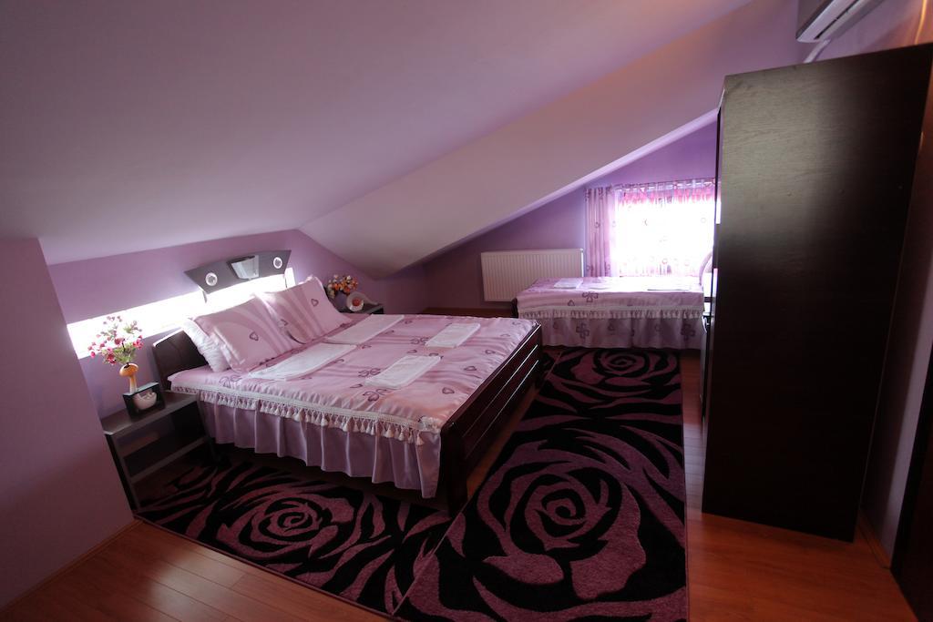 Villa Atina Stara Pazova Room photo